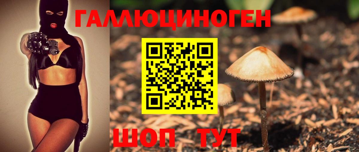 Армавир  Галлюциногенные грибы мицелий  Вход с VPN  Псилоцибиновые грибы мицелий 